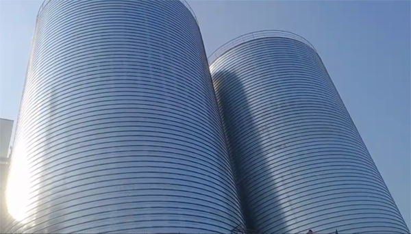 陈场镇2座混凝土高架卷板仓